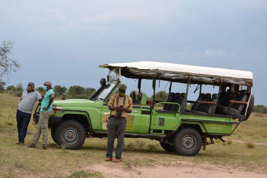 Game drives in Queen Elizabeth National Park