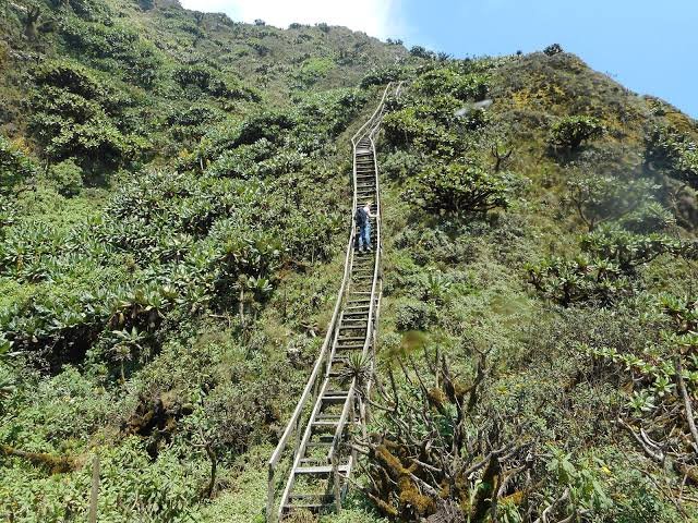 Mgahinga Gorilla National Park