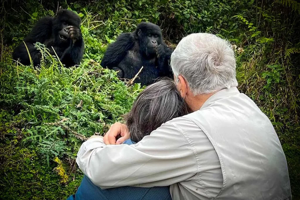 first gorilla trek