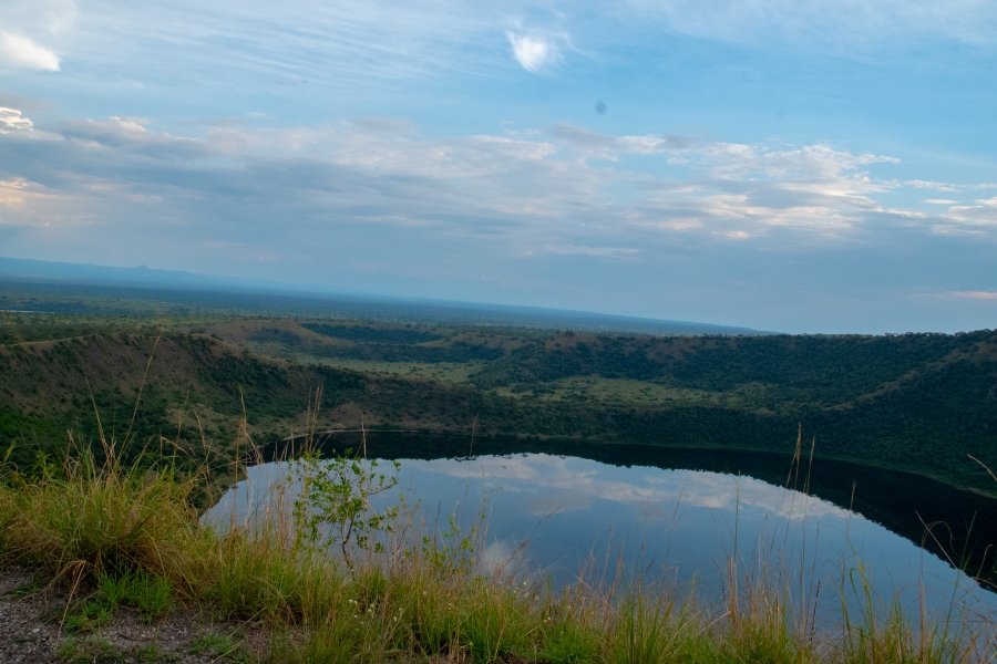 Game drives in Queen Elizabeth National Park