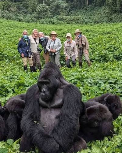 First Gorilla trekk