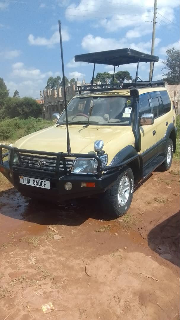 Safari Land Cruiser