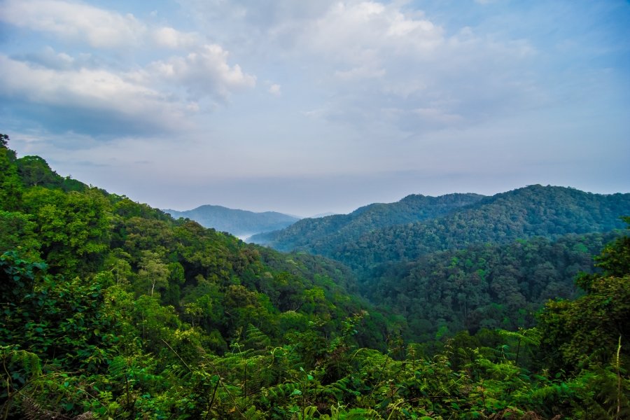 Gorilla Trekking Cost 2026/2027