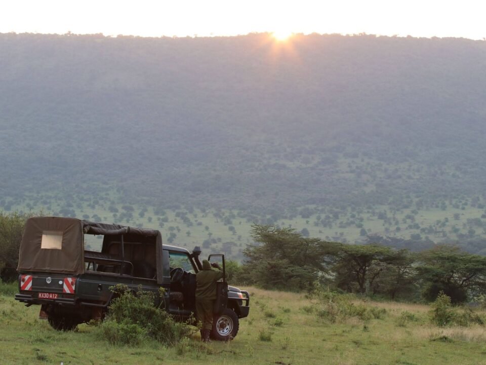 Private Game Drives