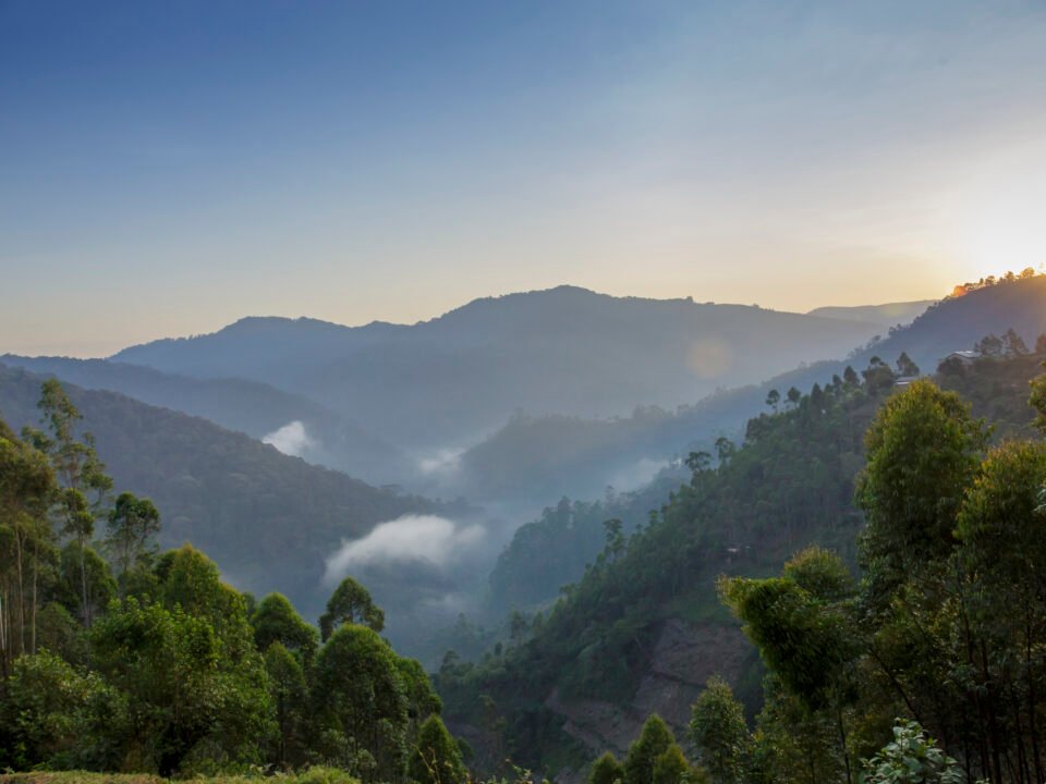 Bwindi Impenetrable National Park