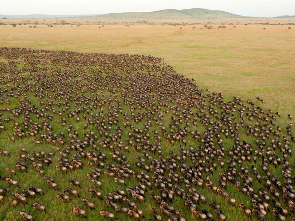 Serengeti National Park
