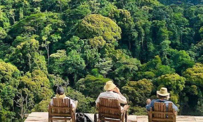 Gorilla Trekking Cost 2026/2027
