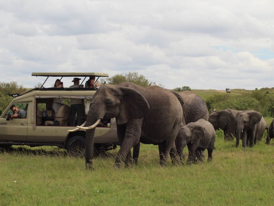 4 Days Amboseli and Tsavo Safari