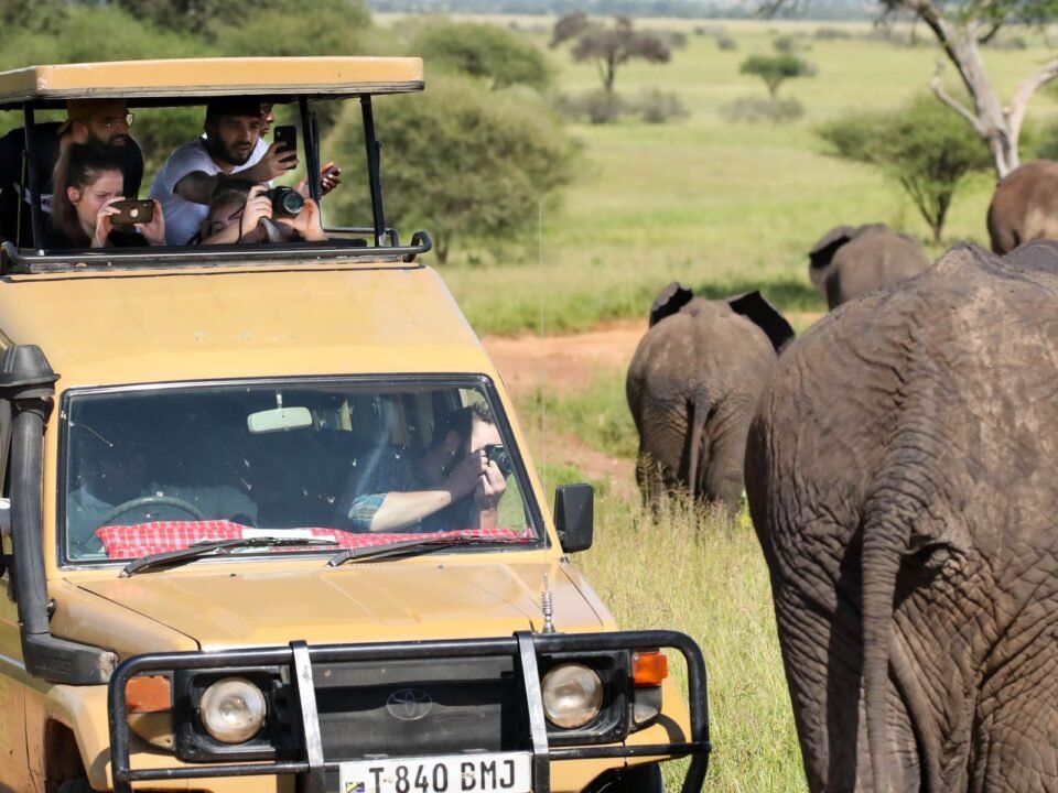 10 Days Best of Kenya Safari Adventure