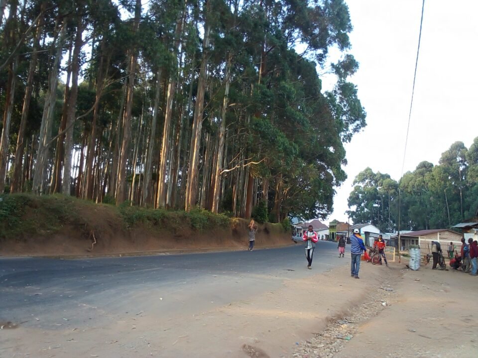 7 Days Burundi Kibira, Rusizi & Cultural Safari