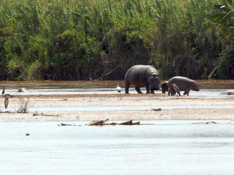 9 Days Best of Burundi Culture & Nature Safari