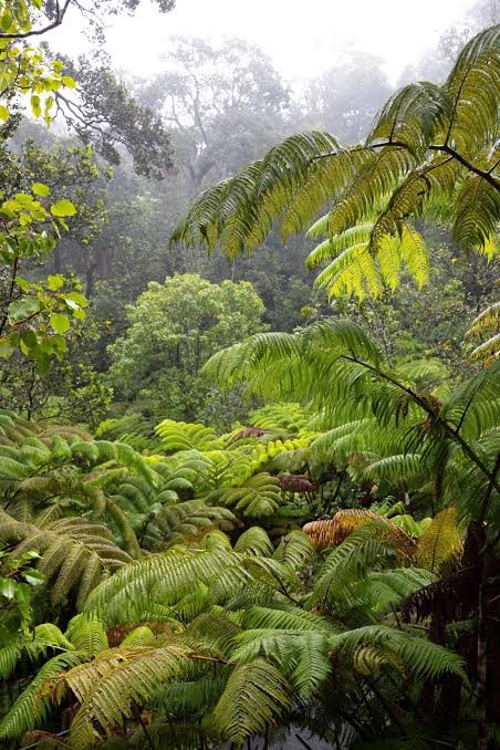 Volcanoes National Park